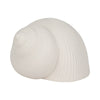 Decorative Bonnet 6" Seashell Figurine | Textured White Ceramic