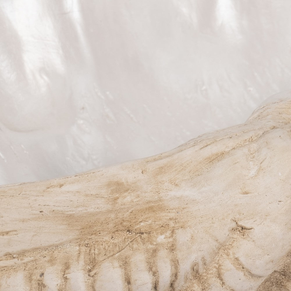 Decorative Accent Bowl | Textured Pearl Shell Design | Ivory White