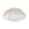 Decorative Accent Bowl | Textured Pearl Shell Design | Ivory White