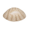 Decorative Accent Bowl | Textured Pearl Shell Design | Ivory White