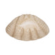 Decorative Accent Bowl | Textured Pearl Shell Design | Ivory White