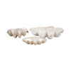 Decorative Accent Bowl | Textured Pearl Shell Design | Ivory White
