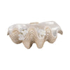 Pearlized Clam Shell Bowl | Wavy Textured Ivory & White Polyresin | 16"