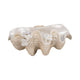 Pearlized Clam Shell Bowl | Wavy Textured Ivory & White Polyresin | 16"