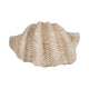 Pearlized Clam Shell Bowl | Wavy Textured Ivory & White Polyresin | 16"
