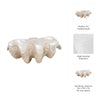 Pearlized Clam Shell Bowl | Wavy Textured Ivory & White Polyresin | 16"