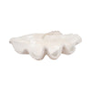 Pearlized Clam Shell Decorative Bowl | 25" | Ivory Texture Polyresin
