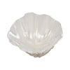 Decorative Pearlized Clam Shell Bowl | Coastal Accent Ivory | 10"