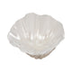 Decorative Pearlized Clam Shell Bowl | Coastal Accent Ivory | 10"