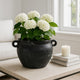 Outdoor Decorative Planter | Jug Shape w Handles | 12" Black Ceramic