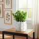 Artichoke Planter Vase| Sculpted Textured White Ceramic | 5"
