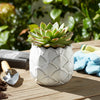 Artichoke Planter Vase| Sculpted Textured White Ceramic | 5"
