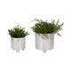 Abas Iridescent Bravais Footed Planter Set of 2 | Ivory Ceramic 8 & 6"