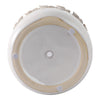 Reya Planter Pot | 3D Floral Applique Rim | Handcrafted Ivory Ceramic | 6"