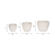 Aio Round Planters Set of 3 | Floral Crown Rim Ivory Ceramic 8 9 & 11"