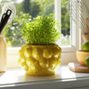 Indoor Outdoor Flower Planter Pot | Yellow Ceramic Lemon Art Design