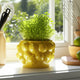 Indoor Outdoor Flower Planter Pot | Yellow Ceramic Lemon Art Design