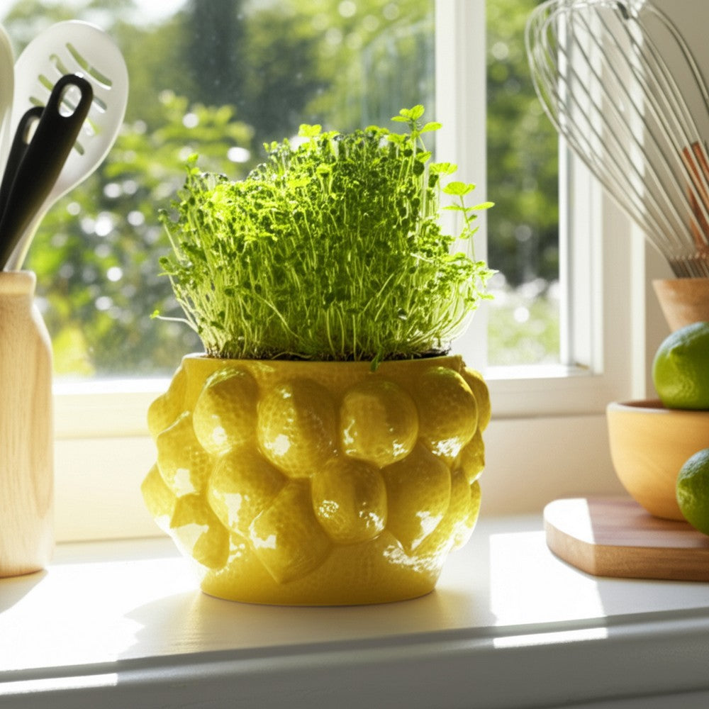 Indoor Outdoor Flower Planter Pot | Yellow Ceramic Lemon Art Design