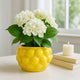 Indoor Outdoor Flower Planter Pot | Yellow Ceramic Lemon Art Design