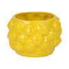 Indoor Outdoor Flower Planter Pot | Yellow Ceramic Lemon Art Design