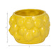 Indoor Outdoor Flower Planter Pot | Yellow Ceramic Lemon Art Design