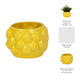 Indoor Outdoor Flower Planter Pot | Yellow Ceramic Lemon Art Design