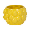 Indoor Outdoor Flower Planter Pot | Yellow Ceramic Lemon Art Design