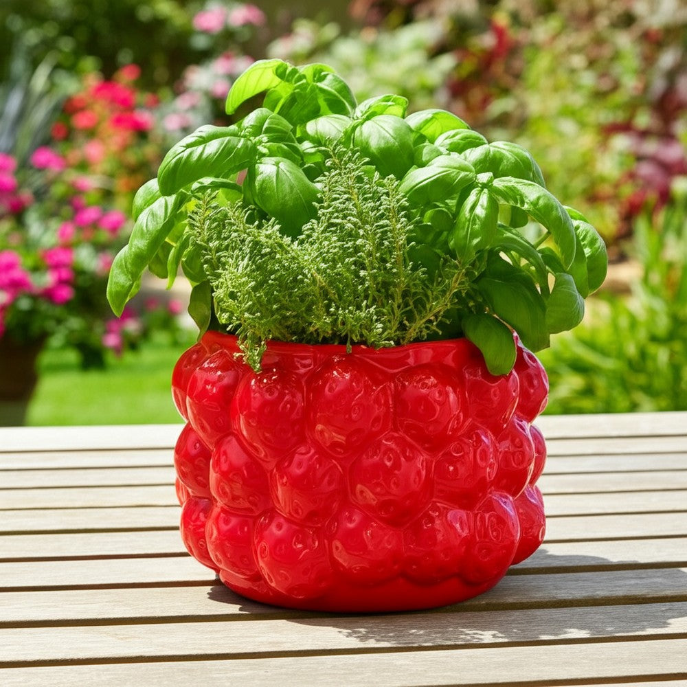 Decorative Planter Pot | 8" Strawberry Textured Design | Red Ceramic
