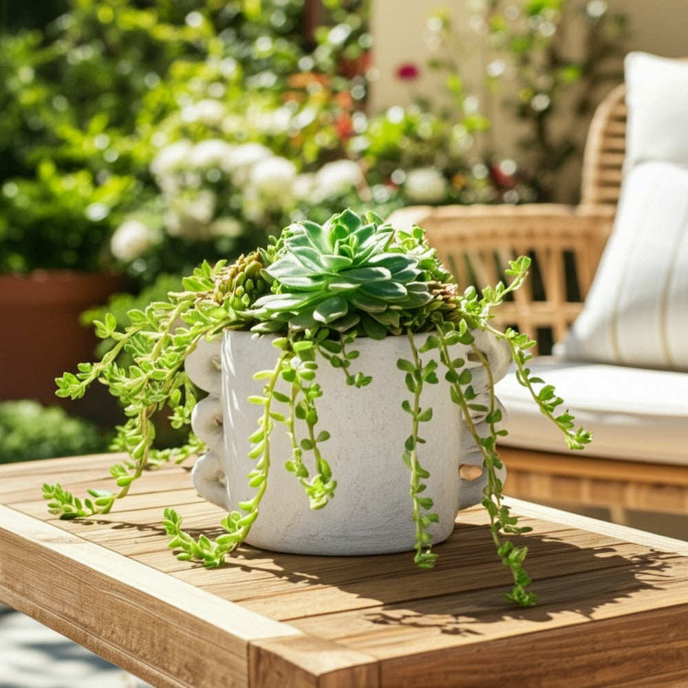 Decorative Flower Planter with Arch Looped Handles | White Cement