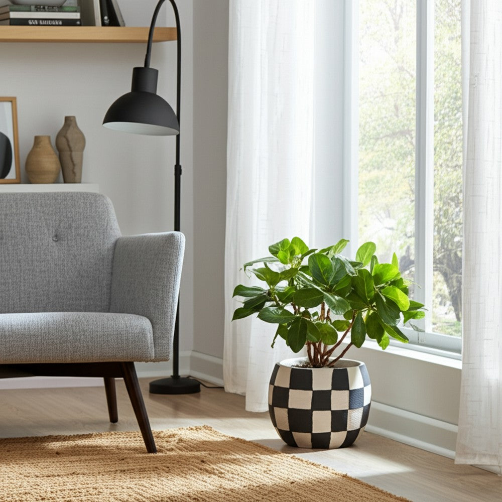 Decorative Planter | Round Shape | Checkered Black & White Cement 8"