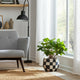 Decorative Planter | Round Shape | Checkered Black & White Cement 8"