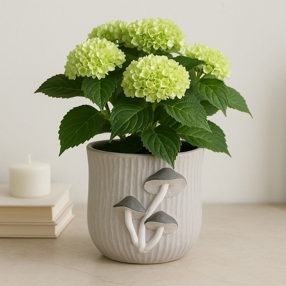 Outdoor Planter Pot | Mushroom Applique | Curved Round Gray Cement | 8"