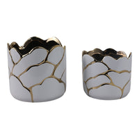 White, Gold