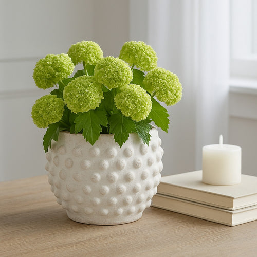 Indoor Outdoor Flower Planter | 6" | Rough White Bubbled Terracotta