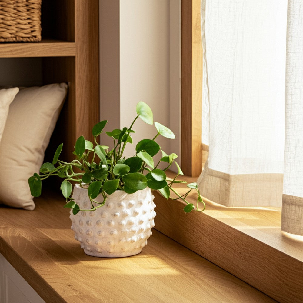 Indoor Outdoor Flower Planter | 6" | Rough White Bubbled Terracotta
