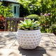 Indoor Outdoor Flower Planter | 6" | Rough White Bubbled Terracotta