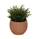 Vexo Decorative Planter | Bubble Textured Terracotta | Natural Red 6"