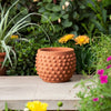 Vexo Decorative Planter | Bubble Textured Terracotta | Natural Red 6"