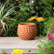 Vexo Decorative Planter | Bubble Textured Terracotta | Natural Red 6"