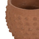 Vexo Decorative Planter | Bubble Textured Terracotta | Natural Red 6"