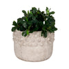 Outdoor Garden Planter | 3D Raised Bubble | 12" Weathered Rustic Ivory