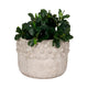 Outdoor Garden Planter | 3D Raised Bubble | 12" Weathered Rustic Ivory