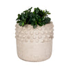 Decorative Flower Planter | Half Bubbled Weathered Ivory Terracotta