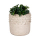 Decorative Flower Planter | Half Bubbled Weathered Ivory Terracotta