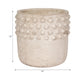 Decorative Flower Planter | Half Bubbled Weathered Ivory Terracotta