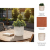 Decorative Flower Planter | Half Bubbled Weathered Ivory Terracotta