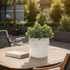 Decorative Flower Planter | Half Bubbled Weathered Ivory Terracotta