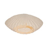 Coastal Shell Vase | White Sand Ceramic Decorative Accent | 23"