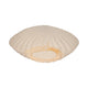 Coastal Shell Vase | White Sand Ceramic Decorative Accent | 23"