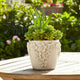 Reya Planter Pot w 3D Floral Applique | Handcrafted Ivory Ceramic | 7"